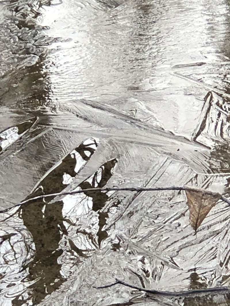 © Cynthia Penter - Ice Patterns