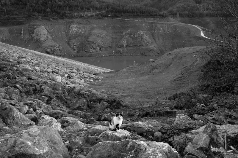 © Ali Rıza Yıldırım - Image from the Aqueous Margin photography project