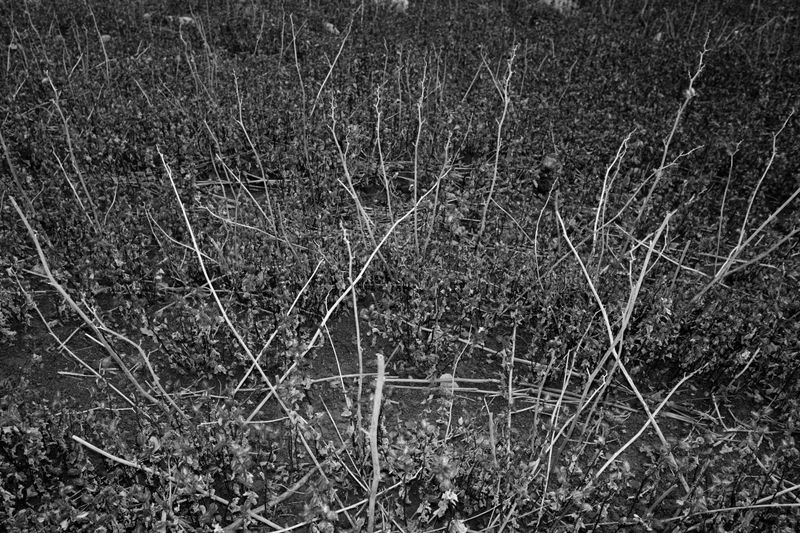 © Ali Rıza Yıldırım - Image from the Aqueous Margin photography project