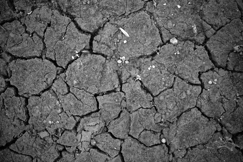 © Ali Rıza Yıldırım - Image from the Aqueous Margin photography project