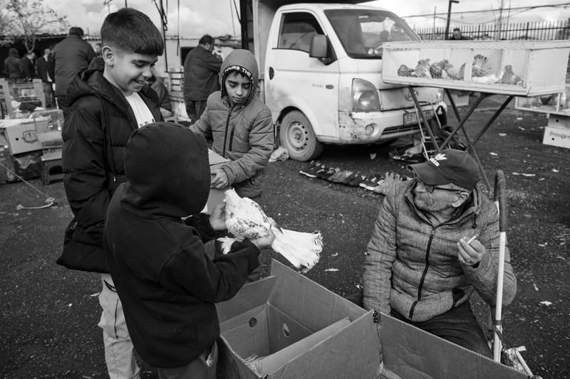 © Ali Rıza Yıldırım - Image from the Edirnekapı Bird Bazaar photography project