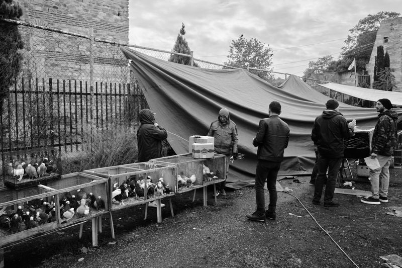 © Ali Rıza Yıldırım - Image from the Edirnekapı Bird Bazaar photography project