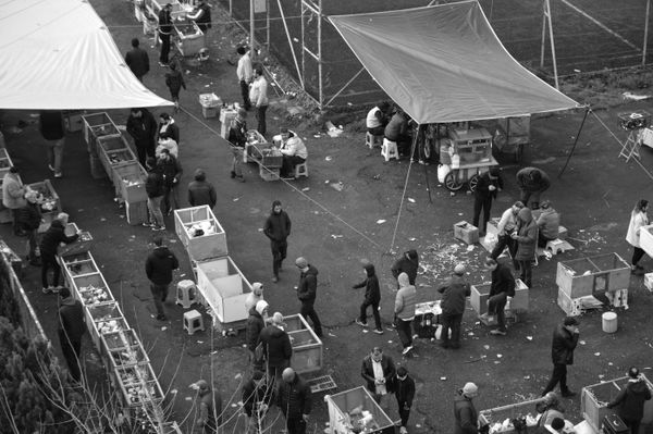 © Ali Rıza Yıldırım - Image from the Istanbul Edirnekapı Bird Bazaar photography project