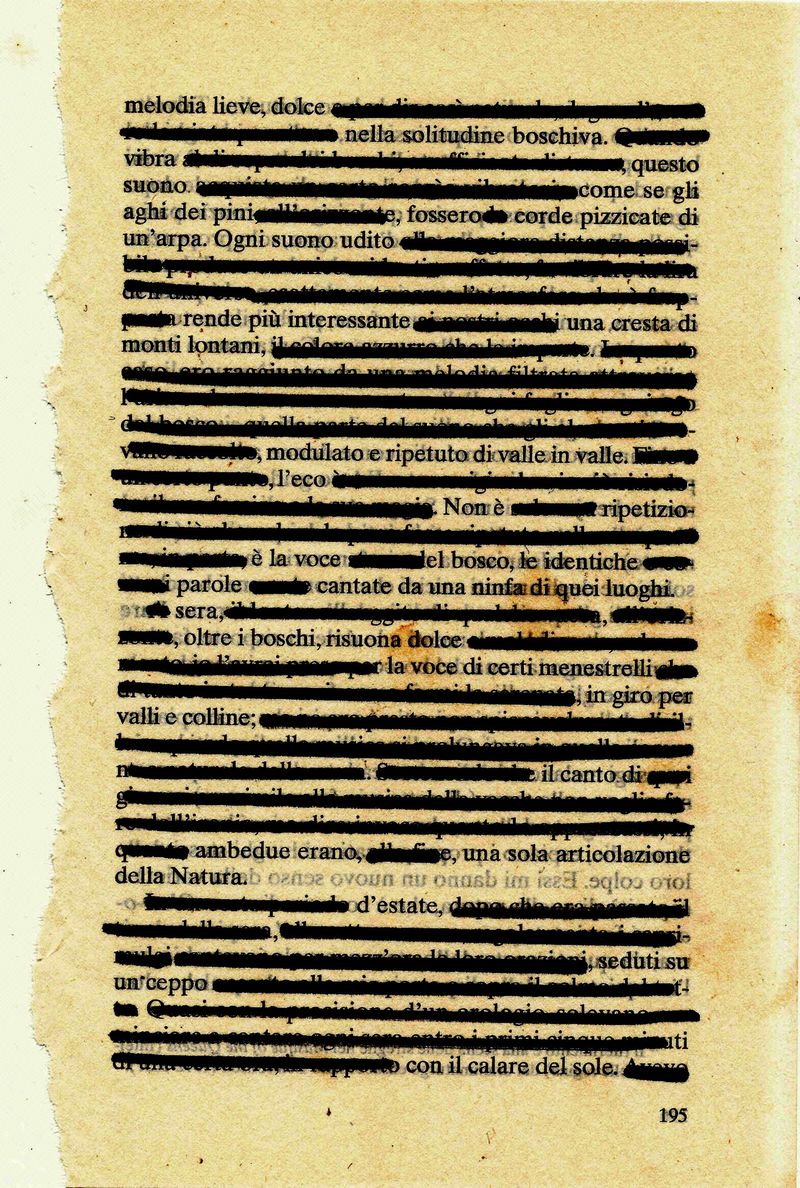 © Alice Jankovic - Title: Forest melody