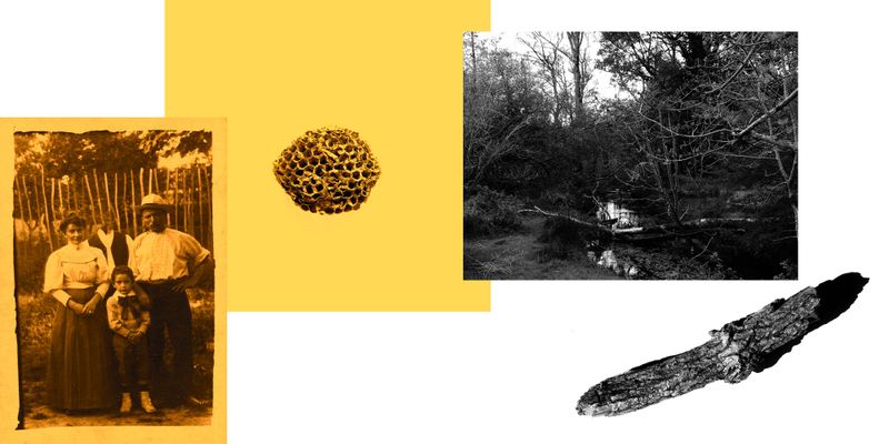 © Alice Jankovic - Title: Nest By building the house, man reveals the same attitude of bees in building the nest