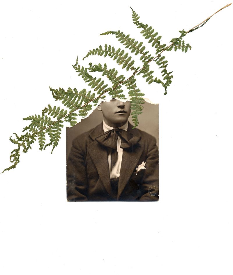 © Alice Jankovic - Title: Fern Man