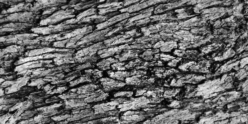 © Alice Jankovic - Title: Contact