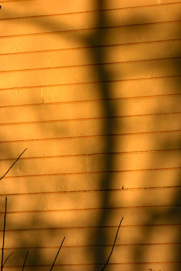 © Alice Jankovic - Title: At the first light of dawn