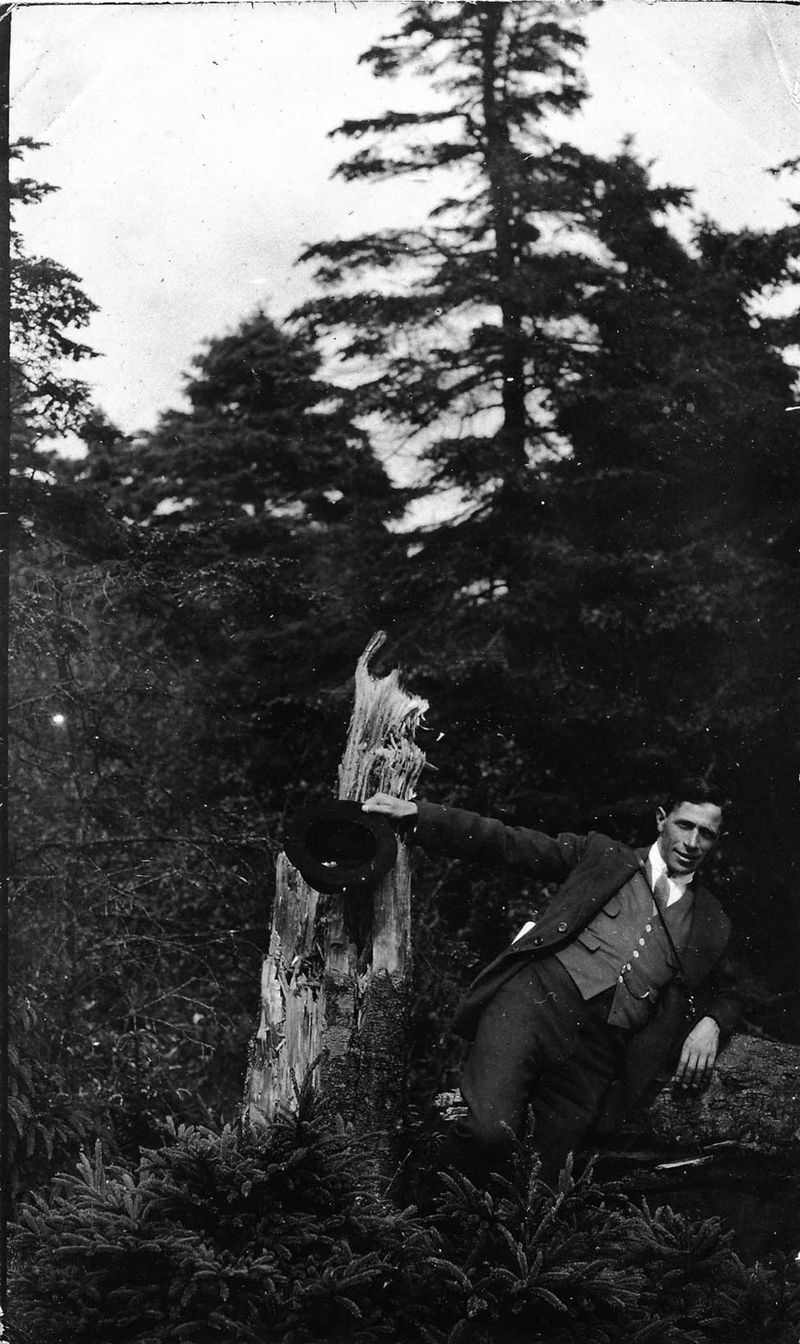 © Alice Jankovic - Title: Part of the woods Ancestor in the forest