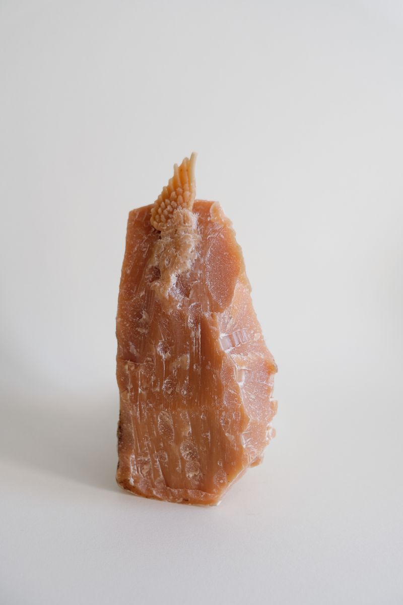 © Alice Jankovic - Image from the Icarus photography project