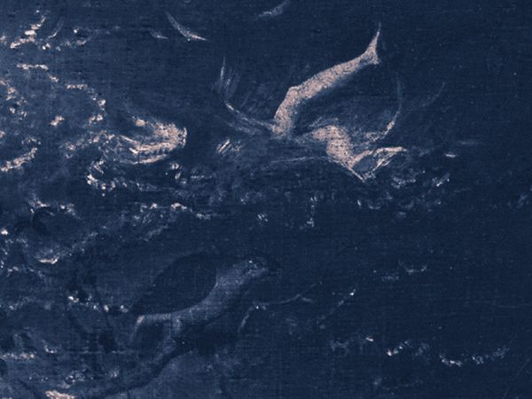 © Alice Jankovic - Detail of Icarus' legs while drowning from the1958 painting 'The Fall of Icarus' by the artistPeter Bruegel the Elder