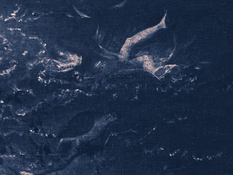 © Alice Jankovic - Detail of Icarus' legs while drowning from the1958 painting 'The Fall of Icarus' by the artistPeter Bruegel the Elder