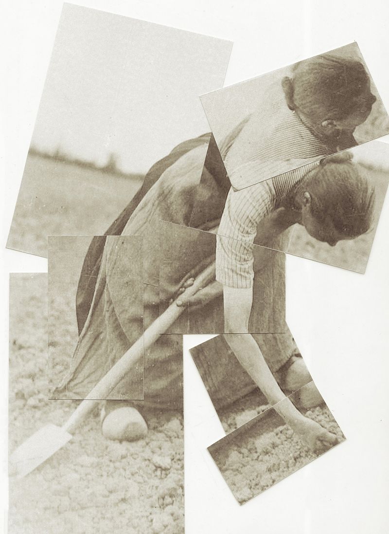 © Alice Jankovic - Image from the Spaesaggio photography project