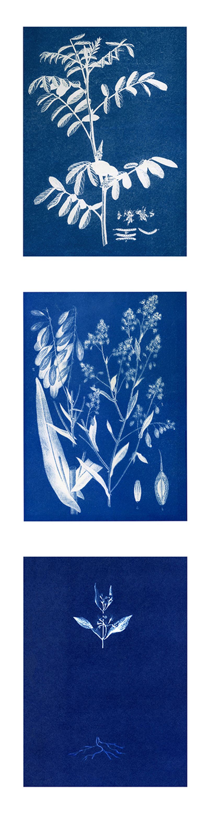 © Alice Jankovic - Image from the Spaesaggio photography project