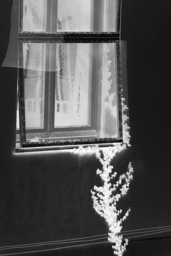 © Alice Jankovic - Image from the Spaesaggio photography project