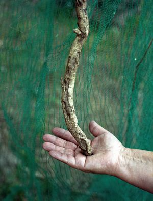 Spaesaggio