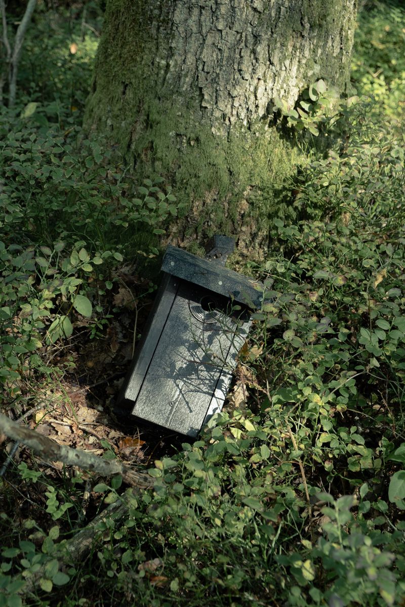 © Alice Jankovic - Small natural refuges amidst the city parks: fragments of a silent empathy that reconnects humanity with nature.