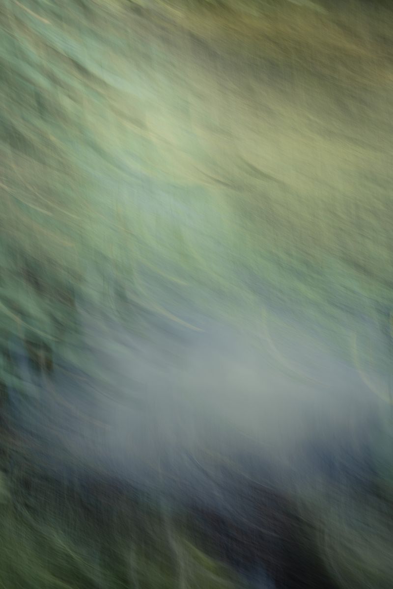 © Alice Jankovic - Image from the Green Paradox photography project