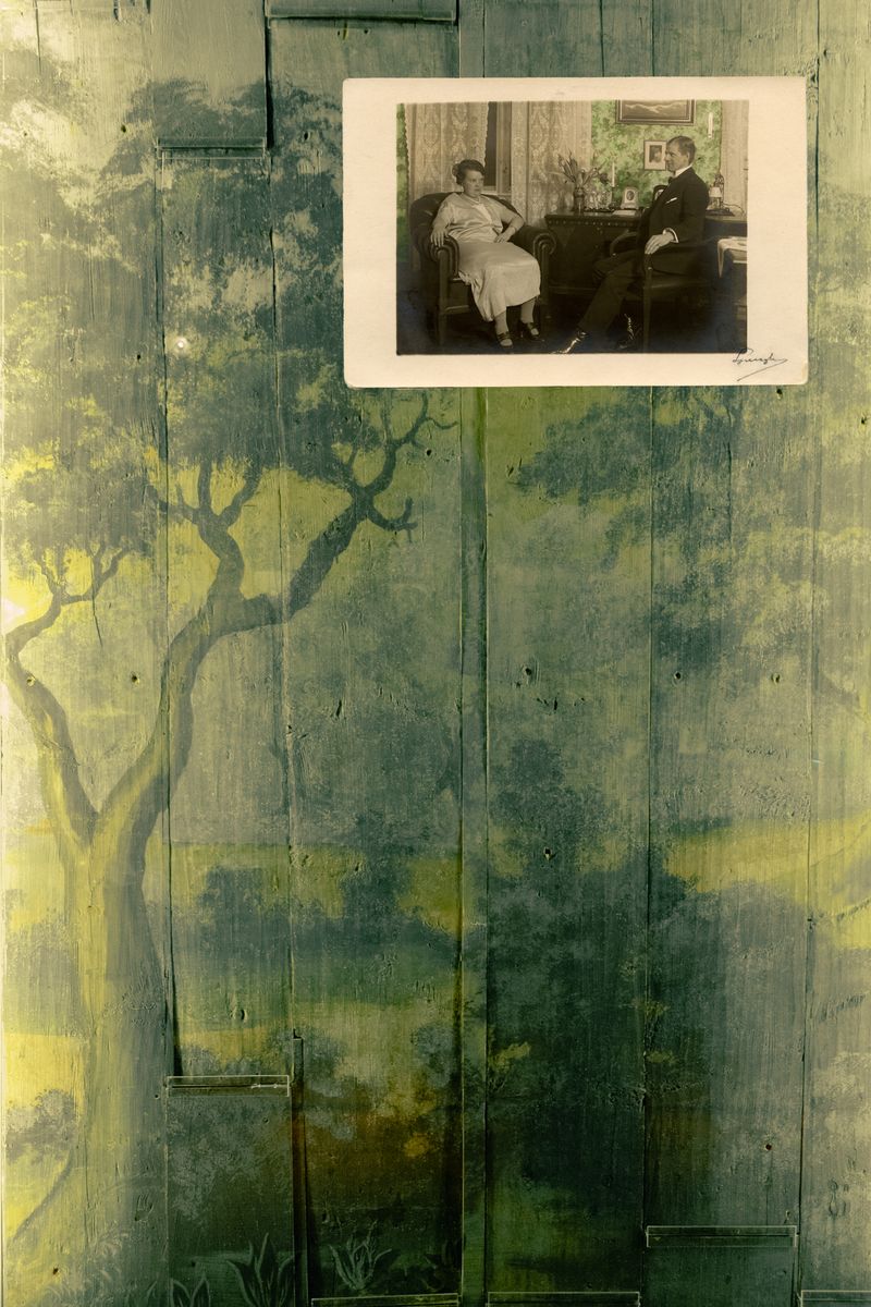 © Alice Jankovic - Image from the Green Paradox photography project