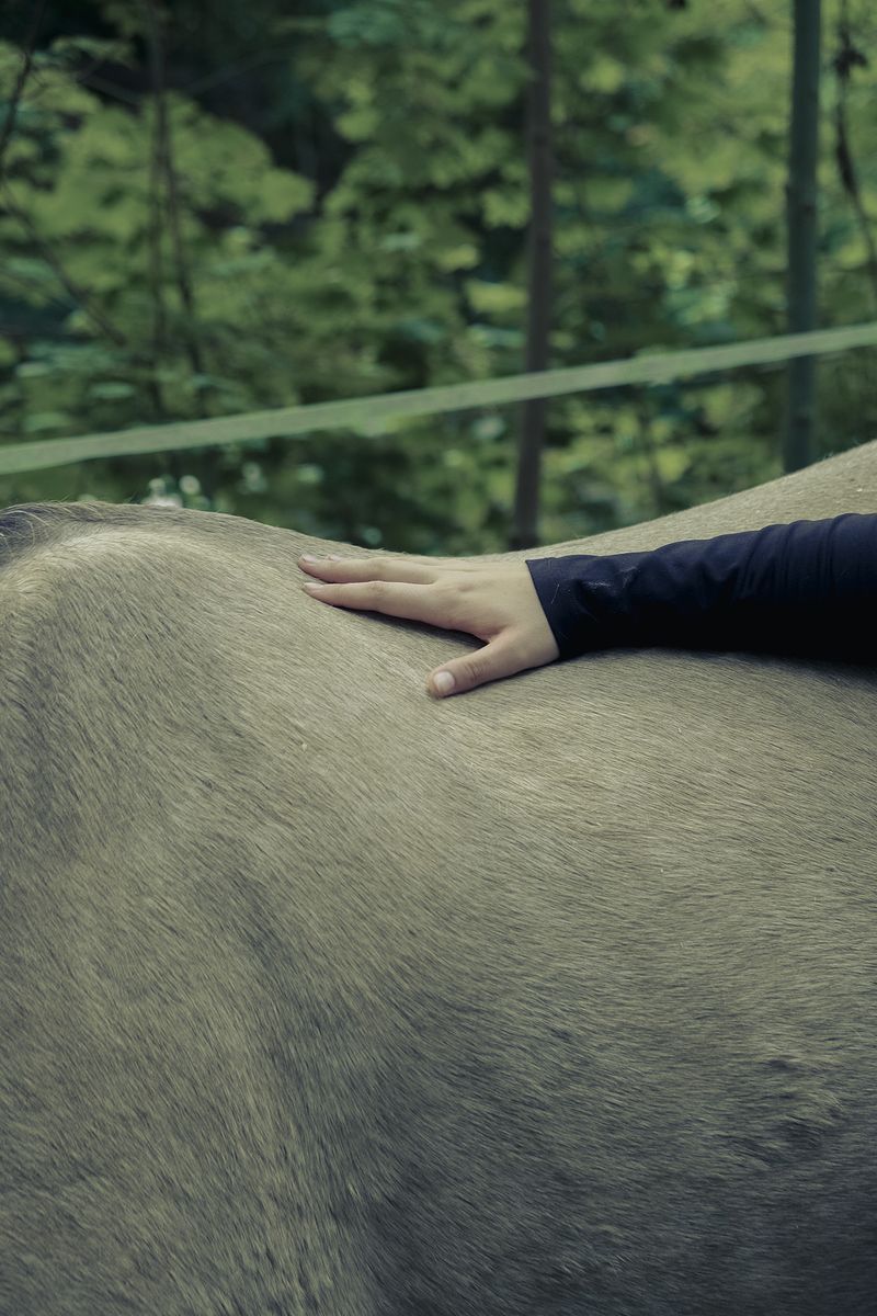 © Alice Jankovic - Contact between man and nature
