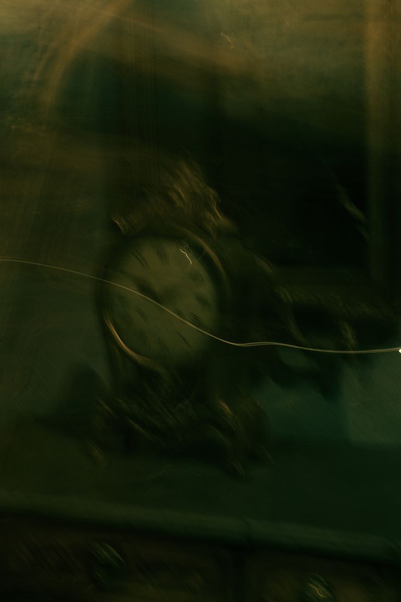 © Alice Jankovic - Image from the Green Paradox photography project