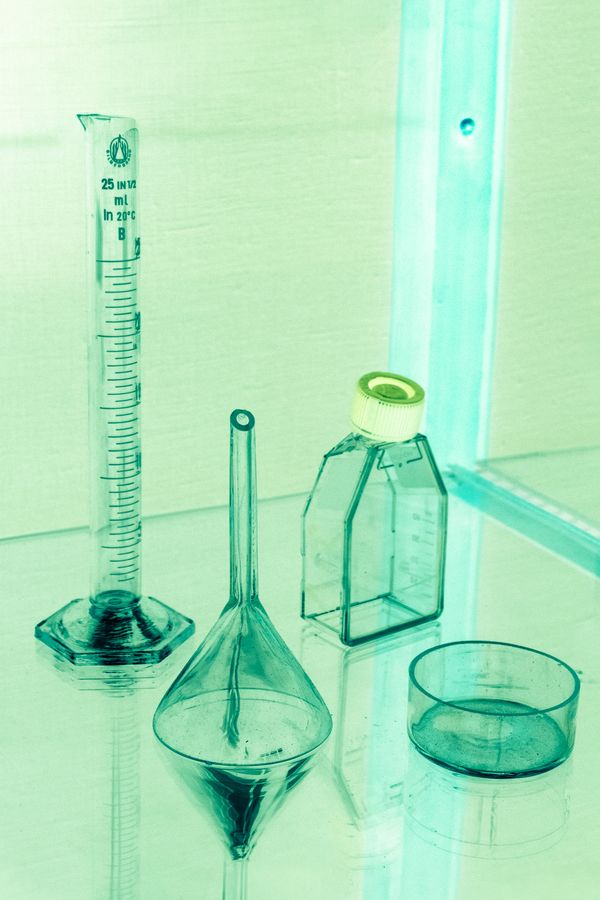 © Alice Jankovic - Negative photo idea for experiments on the color green