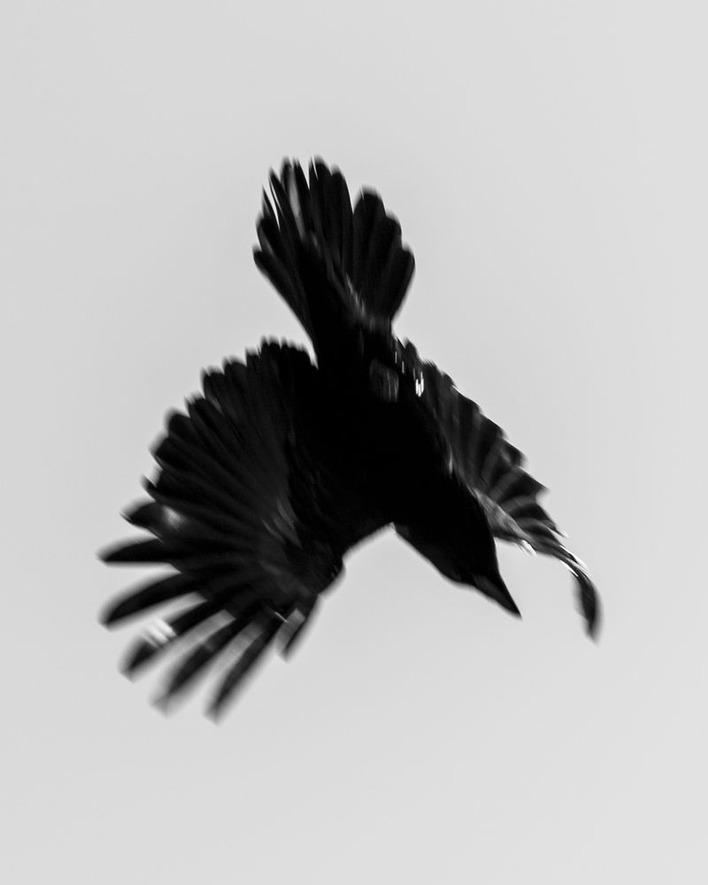 © Sabine Hess - Image from the You Felt the Roots Grow photography project