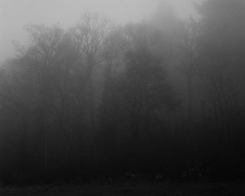 © Sabine Hess - Image from the You Felt the Roots Grow photography project