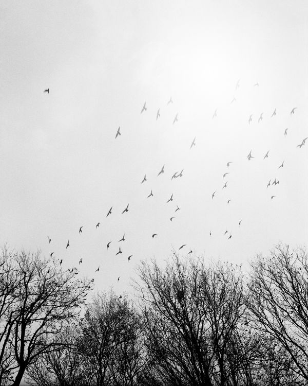 © Sabine Hess - Image from the You Felt the Roots Grow photography project