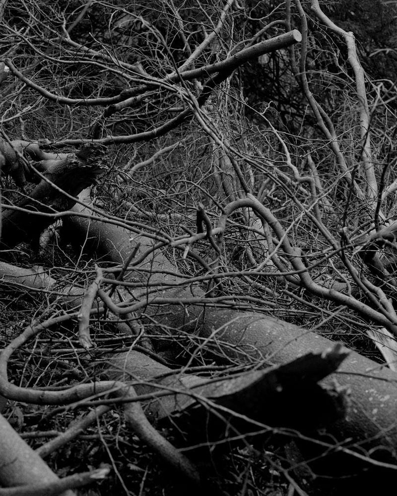 © Sabine Hess - Image from the You Felt the Roots Grow photography project