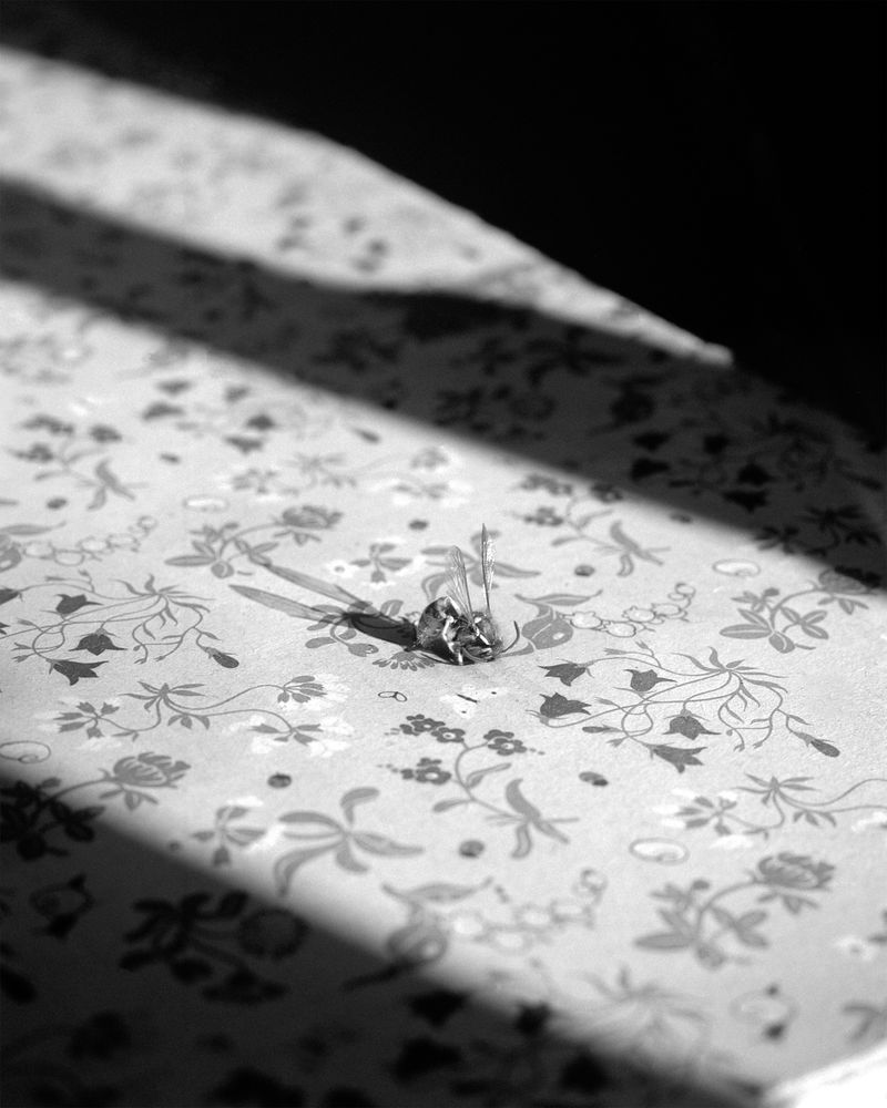 © Sabine Hess - Image from the You Felt the Roots Grow photography project