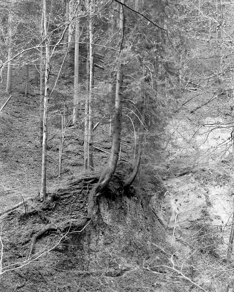 © Sabine Hess - Image from the You Felt the Roots Grow photography project