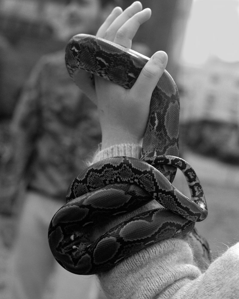 © Sabine Hess - Image from the You Felt the Roots Grow photography project