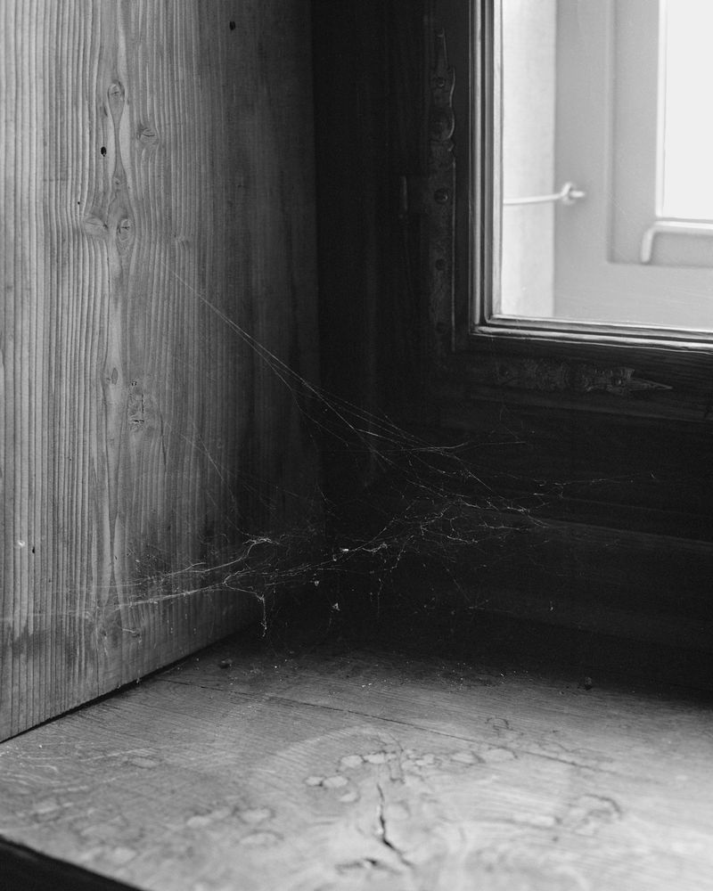 © Sabine Hess - Image from the You Felt the Roots Grow photography project