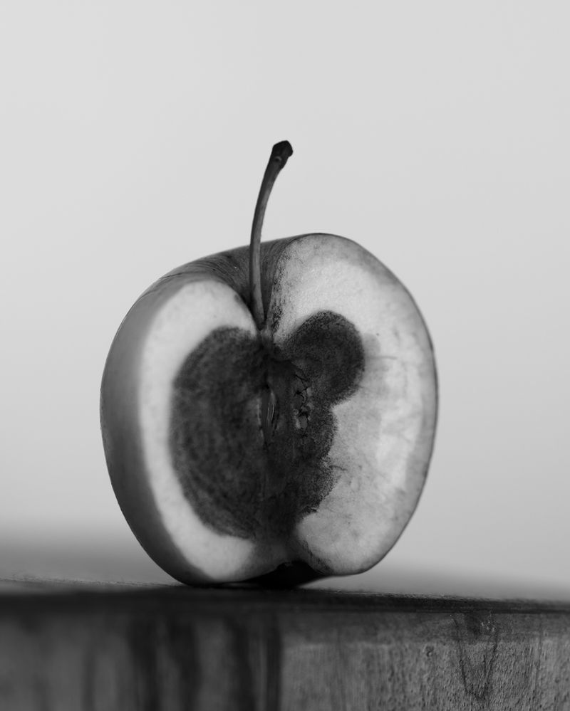 © Sabine Hess - Image from the You Felt the Roots Grow photography project