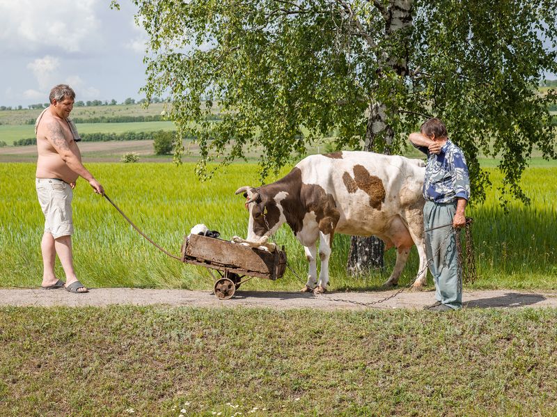 © Andrea Diefenbach - Grigorăuca / Григорэука, 26.5.2014