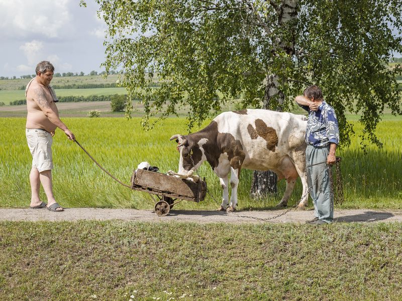 © Andrea Diefenbach - Grigorăuca / Григорэука, 26.5.2014