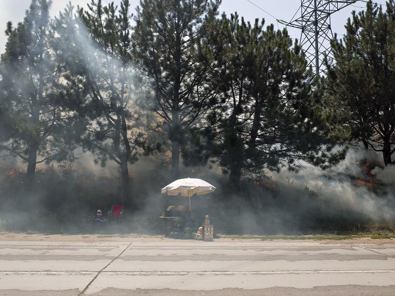 © Andrea Diefenbach - Budești / Будешты, 17.7.2015
