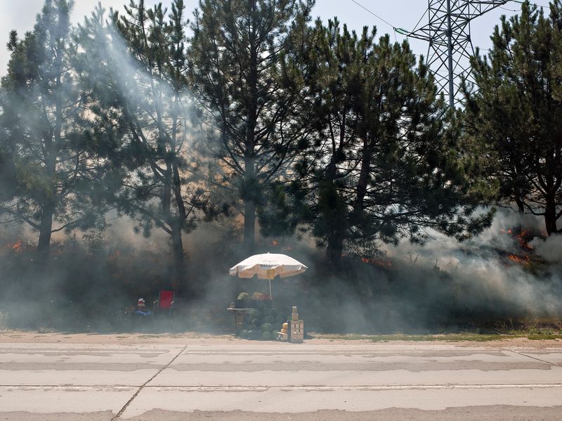 © Andrea Diefenbach - Budești / Будешты, 17.7.2015