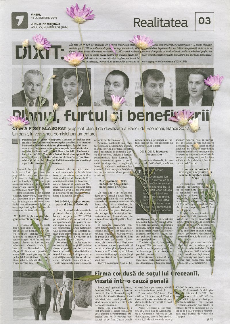 © Andrea Diefenbach - 18.10.2019 The Plan, the Theft, and the Beneficiaries Xeranthemum annuum, June 2017 46°31’33.6”N 29°52’28.8”E