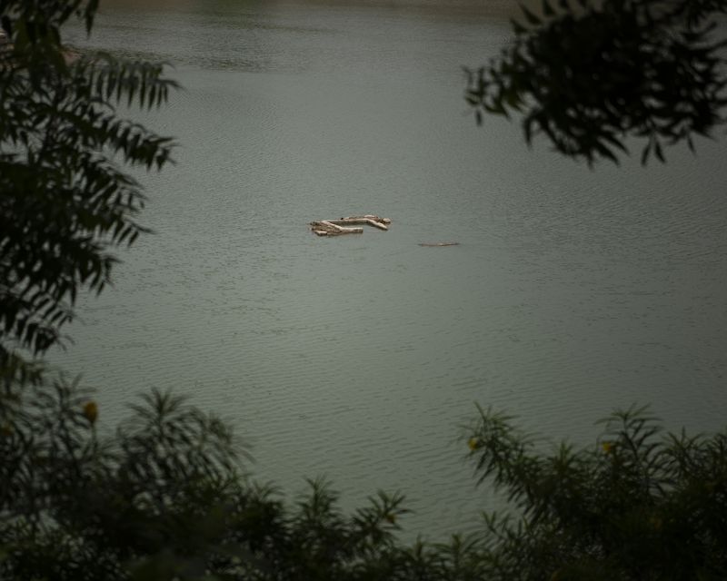 © Alejandra Arévalo - View of the Sabarmati River from the Dargaah "Siddi Zuzair", who was a great warrior and after his dead was declared saint.