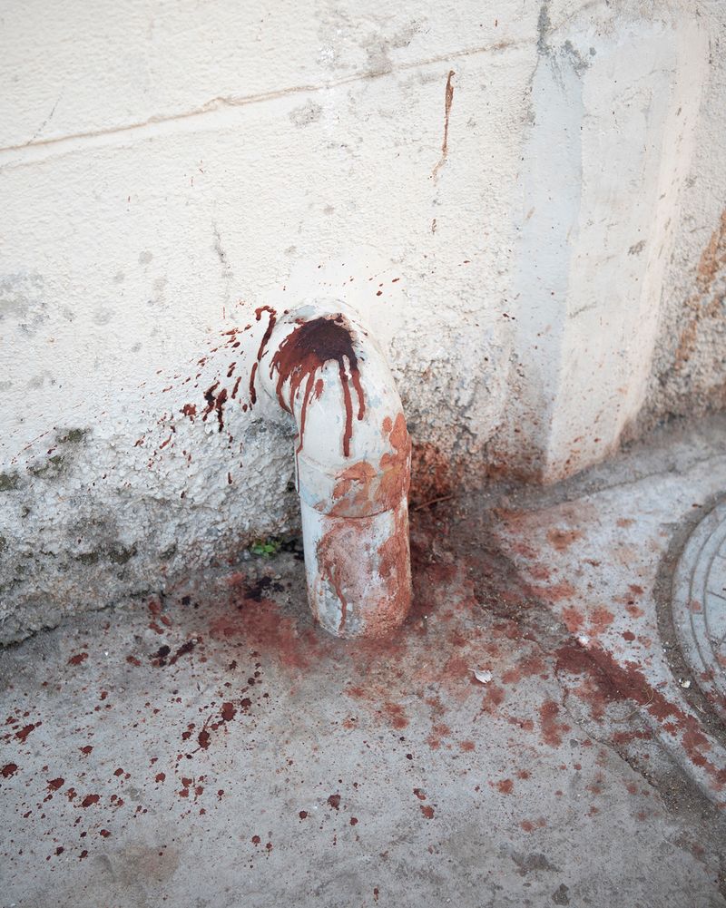 © Alejandra Arévalo - Image from the Blood under the sundown light photography project