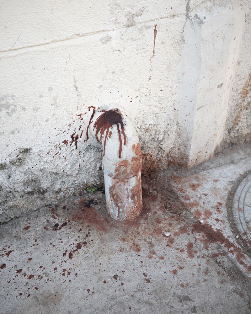 © Alejandra Arévalo - Image from the Blood under the sundown light photography project