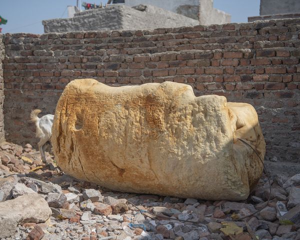 © Alejandra Arévalo - Image from the Blood under the sundown light photography project