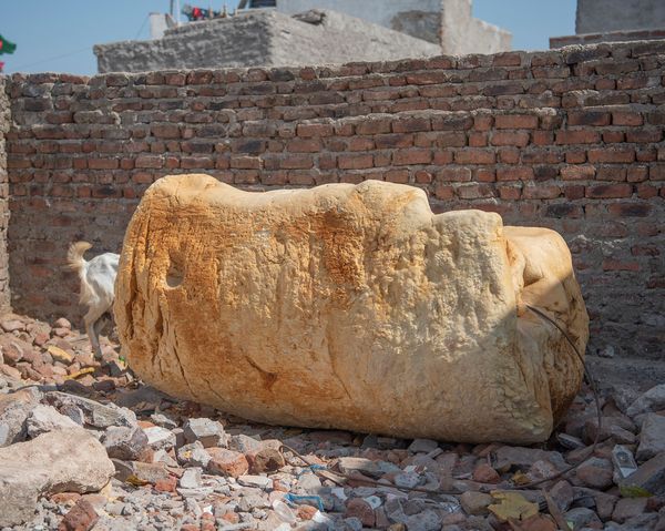 © Alejandra Arévalo - Image from the Blood under the sundown light photography project