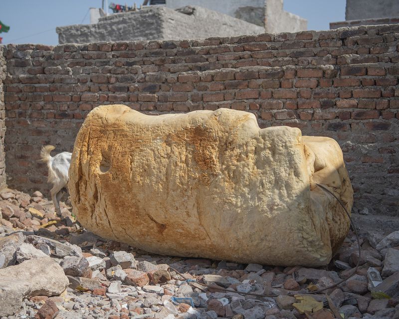 © Alejandra Arévalo - Image from the Blood under the sundown light photography project