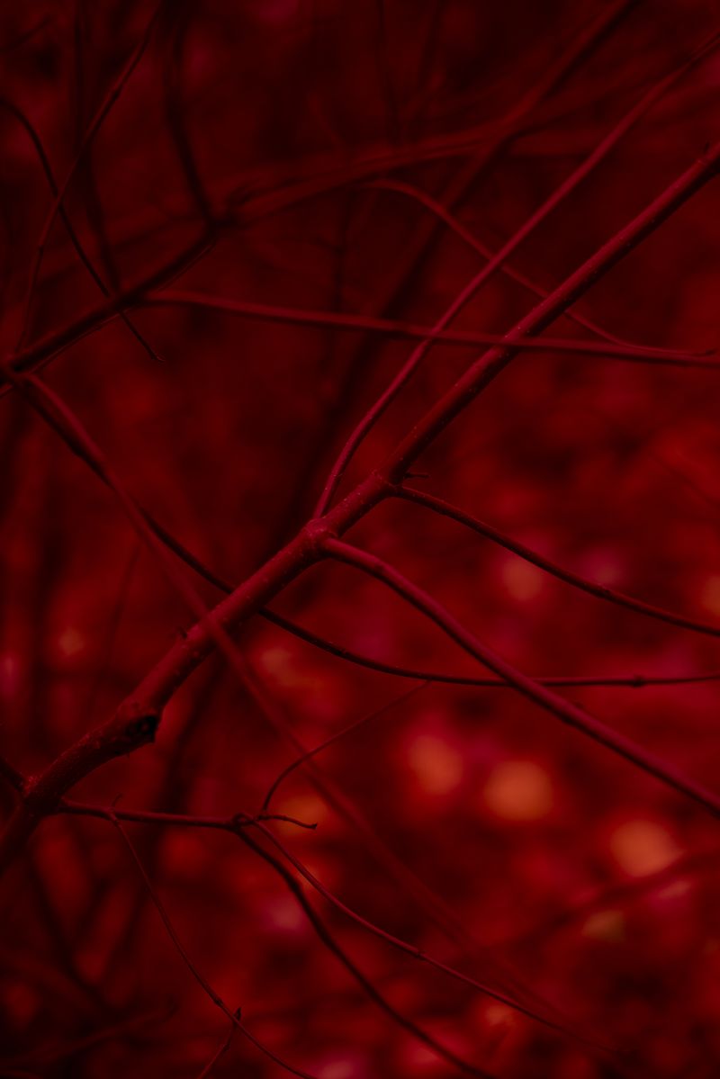 © Alejandra Arévalo - Image from the A cloud above me photography project