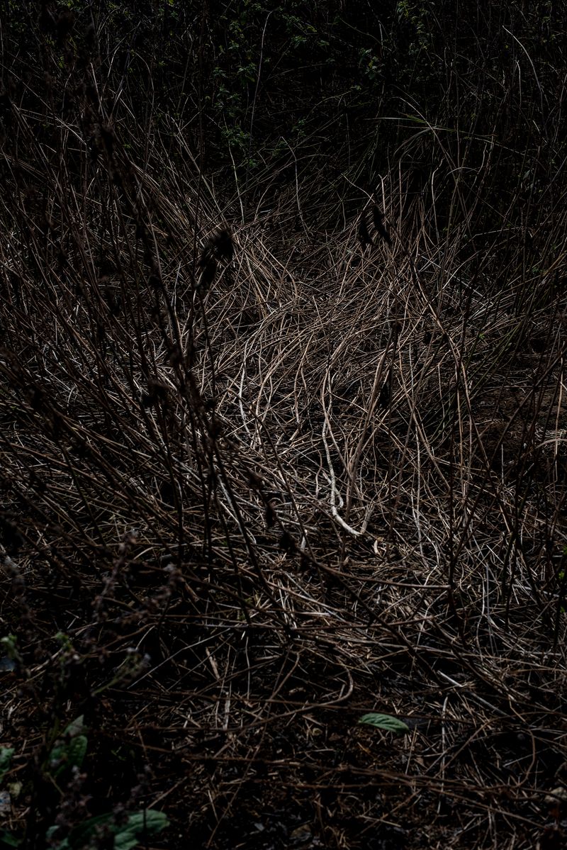 © Alejandra Arévalo - Image from the A cloud above me photography project