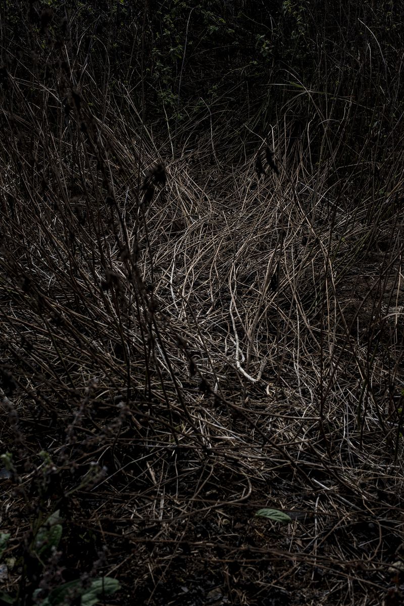 © Alejandra Arévalo - Image from the A cloud above me photography project