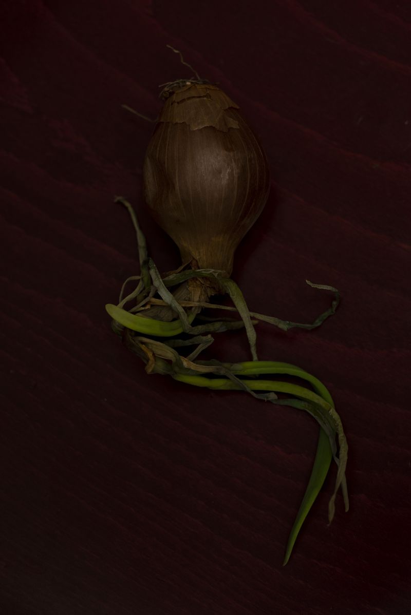 © Alejandra Arévalo - My mom told me that my father loved to eat raw onion. I used to think that it was a raw onion that killed him.